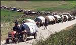 Kosovo Albanians fleeing from their lands during the war